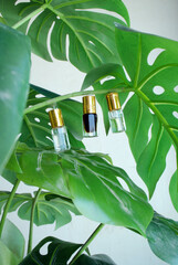 Poster - man made and nature contrast concept,scent bottles hanging with tropical plant,