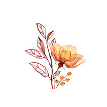 Watercolor Rose Bouquet. Transparent Orange Flower With Branch And Berries Isolated On White. Hand Painted Vintage Arrangement. Botanical Illustration For Cards, Wedding Design