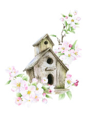 Composition Of The Blooming Apple Branches And A Birdhouse Hand Drawn In Watercolor Isolated On A White Background. Watercolor Illustration. Apple Blossom. Floral Composition.