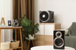 © New Africa - Modern powerful audio speaker system in bright room