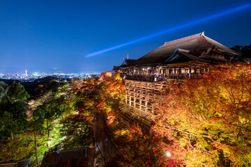 Fototapete - Kiyomizu dera temple ,light up in autumn, Kyoto, Japan