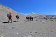 © Tanguy de Saint Cyr - Trekking sur le volcan Sabancaya au Pérou