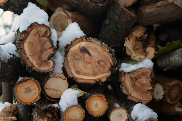 Firewood, billet logs for fireplace lying under the snow.