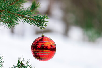 Poster - New Year's decoration hangs on a christmas tree in nature