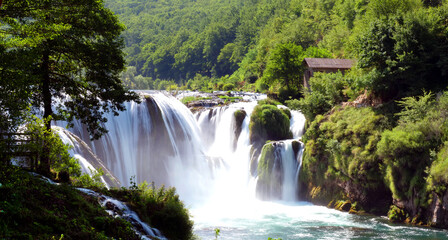 Wall Mural - amazing waterfall in wilderness forest