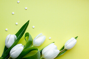 Women's Day. White flowers. Tulips. Place for text