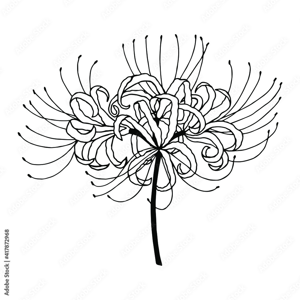 lily flower arrangement Fragrant Vase main image 0