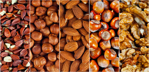 Hazelnuts, almonds, beech, walnut close up. Collage of textures of various nuts.