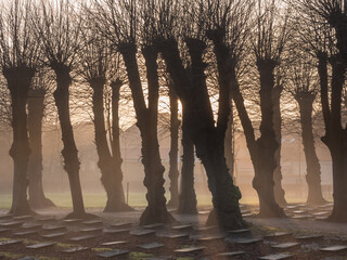 Wall Mural - Cemetery in Christiansfeld, Denmark