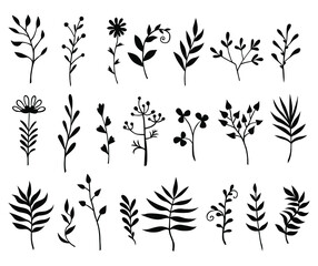 Wall Mural - Vector illustrations of decorative herbals, branches and flowers set silhouette