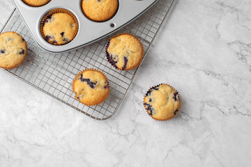 Wall Mural - Blueberry Muffins in a Silver Muffin Tin on Wire Rack on a White and Gray Marble Countertop