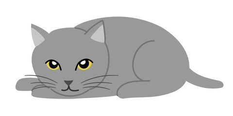  Gray cat lying face down. Vector illustration isolated on white background.