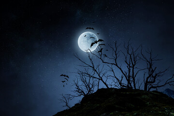Wall Mural - spooky night image . mixed media