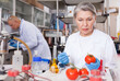 Professional female geneticist working in laboratory, injecting additives into tomatoes during experiments with genetically modified vegetables..