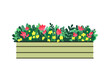 Window box with red and yellow flowers. Vector illustration in flat style.