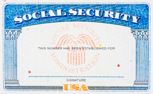 Wall Mural - Blank social security card.