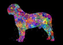 Dogue De Bordeaux Dog Watercolor, Black Background, Abstract Painting. Watercolor Illustration Rainbow, Colorful, Decoration Wall Art.