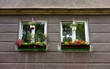 Two old windows decorated by flower pots in houses built in historical sorela architectural style