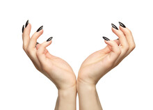 Female Hands With Black Nails Manicure Isolated On White Background.
