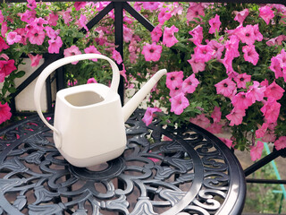 Wall Mural - Blooming beautiful pink Petunia flowers and white watering can stands on table. Metal forged furniture on balcony on sunny summer day. Flowers on balcony