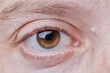 photo of human eye close-up brown color