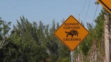 Gopher Tortoise Crossing Sign Southern Florida USA