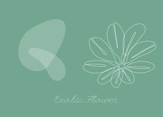 Poster - Botanical vector background with Exotic Flower. Continuous one line drawing with abstract shape. Minimalistic and natural horizontal wallpaper. Vector illustration