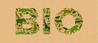 Green wild animal recycled paper bio sign concept