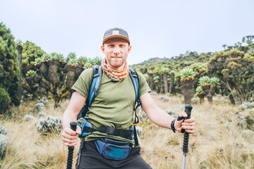 Wall Mural - backpacker man portrait having a hiking walk with trekking poles on the umbwe route in the forest to