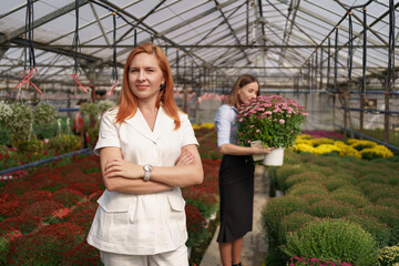 Smiling Greenhouse owner posing with folded arms having many flowers in background and a colleague holding a pot with pink chrysanthemums under glass roof