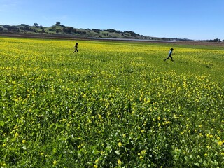 Two friends running across a field of mustard flowers