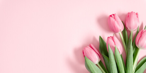 Wall Mural - beautiful pink tulips on pastel pink background. concept women's day, march 8. 8th march. spring bac