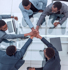 Wall Mural - group of young business people showing their unity.