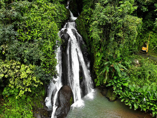 Canvas Print - waterfall in the forest