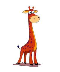  illustration graphic vector of  graphic smiling giraffe,best for illustration book story etc