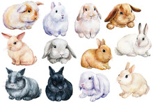 Set Of Bunnies On An Isolated White Background, Painted With Watercolor. Easter Rabbits