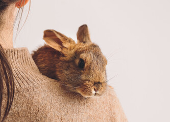 Young woman with cute rabbit on light background