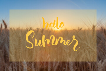 Wall Mural - card with wheat field and lettering text