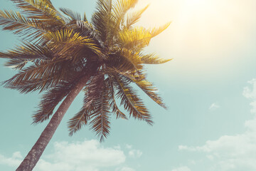 Tropical palm tree with blue sky and cloud abstract background. Summer vacation and nature travel adventure concept.