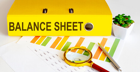Poster - office folder with text BALANCE SHEET with charts, magnifier and pen