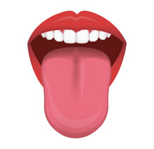 Healthy Human Tongue Vector Illustration