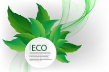 Abstract Background With Green Decorative Leaves, Eco Banner Frame