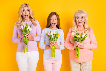 Sticker - Photo of grey haired old woman blonde mom and child hold flowers tulips 8-march isolated on yellow color background