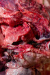 A Close Up of Lungs, Heart and Windpipe Raw Meat of a Sheep