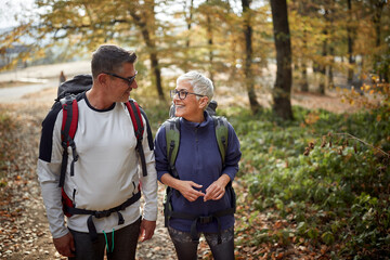 Wall Mural - Senior couple walking in nature