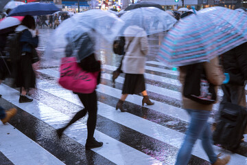 Wall Mural - Pedestrians crossing street on rainy night, Tokyo, Japan　雨の夜 傘をさして歩く女性 東京