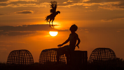 Thai man spraying water to refresh domestic fighting cock in the background of sunrising. The feeling fresh and flying over the man.