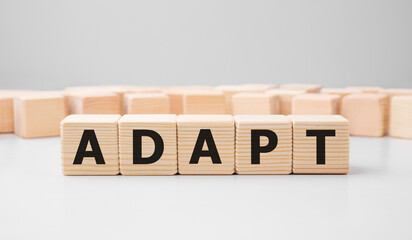 Poster - Word ADAPT made with wood building blocks