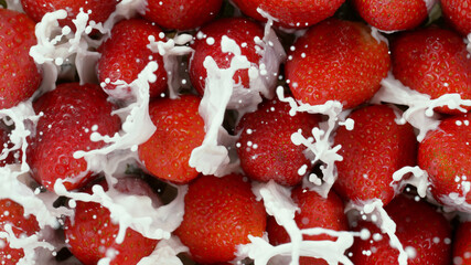 Wall Mural - Top view of strawberries with milk splashes