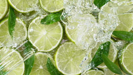 Wall Mural - Top view of sliced lime with water splashes